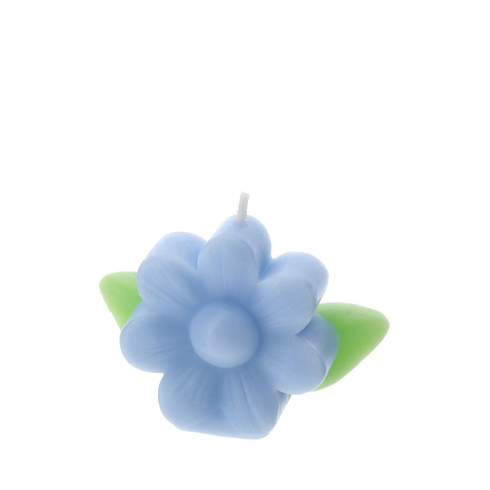 Hervit – Candela Fiore