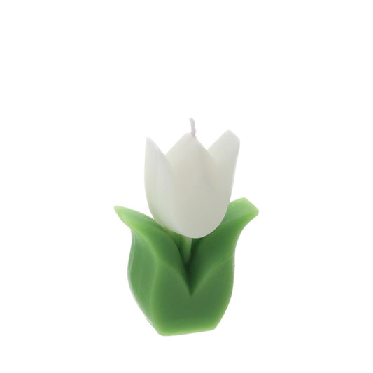 Hervit – Candela Tulipano