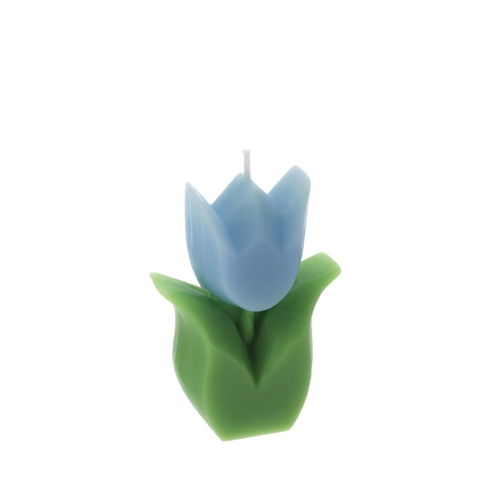 Hervit – Candela Tulipano