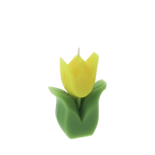 Hervit – Candela Tulipano