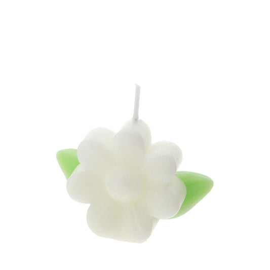 Hervit – Candela Fiore