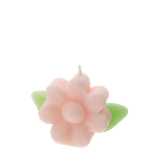 Hervit – Candela Fiore