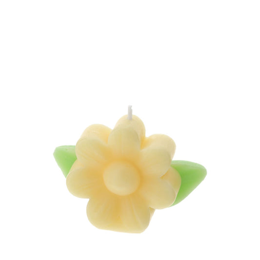 Hervit – Candela Fiore