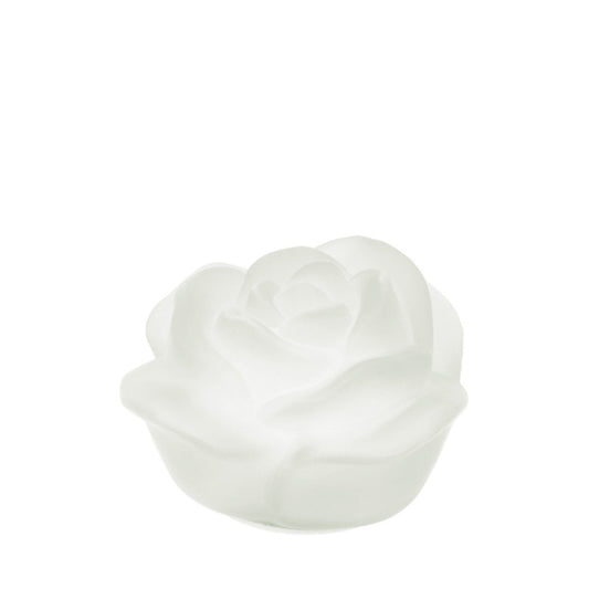 Hervit – Rosa Vetro Led