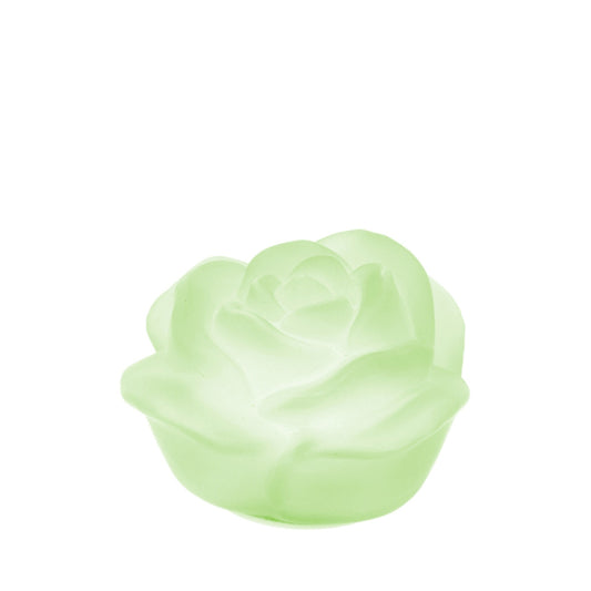 Hervit – Rosa Vetro Led