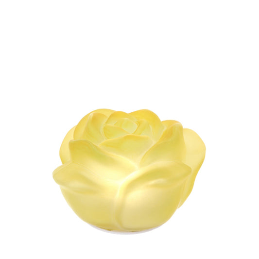 Hervit – Rosa Vetro Led