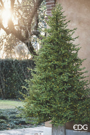 EDG Enzo De Gasperi Albero di Natale Pino Lucciole 180 cm con 2300 Rice Led