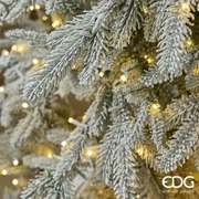EDG Pino Cortina Innevato 2500 LED H 210 cm