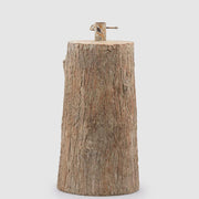 BASE TRONCO H.55 EDG