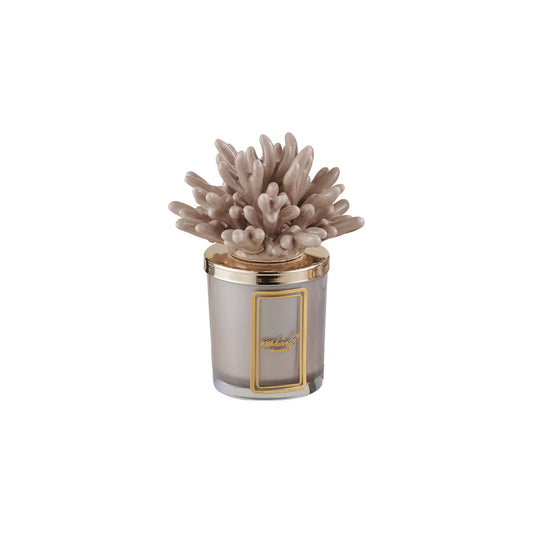 Candela Corallo Tortora h15